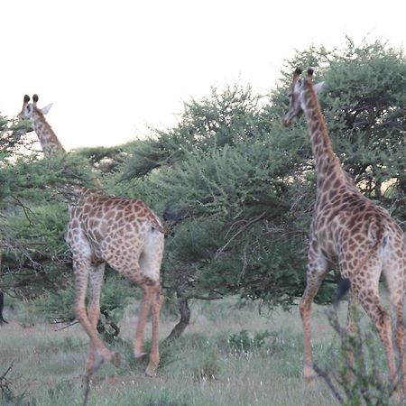 Wag N Bietjie Bush Lodge Heuningneskloof Esterno foto