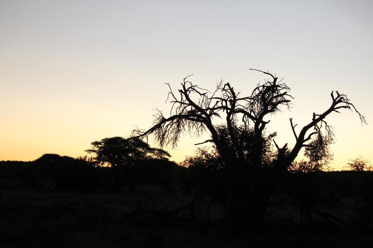 Wag N Bietjie Bush Lodge Heuningneskloof Esterno foto